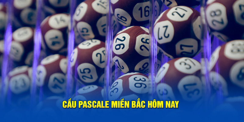 Cầu Pascale miền Bắc hôm nay