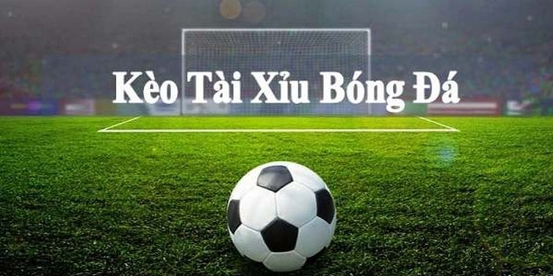 Trong tỷ lệ cược tài xỉu, yếu tố đội giành chiến thắng không quan trọng